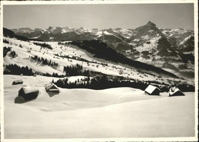 Amden Walensee SG Amden Flumseberge Muertschenstock 