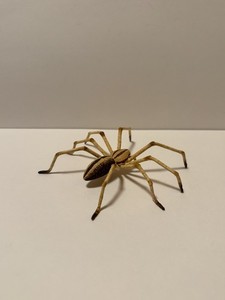 Handmade Hand-painted 4" Rabid Wolf Spider Arachnid Figurine Replica