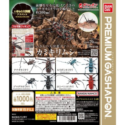 Advanced Living Creature Encyclopedia: Long-Horned Beetles Complete 4 SET JP New