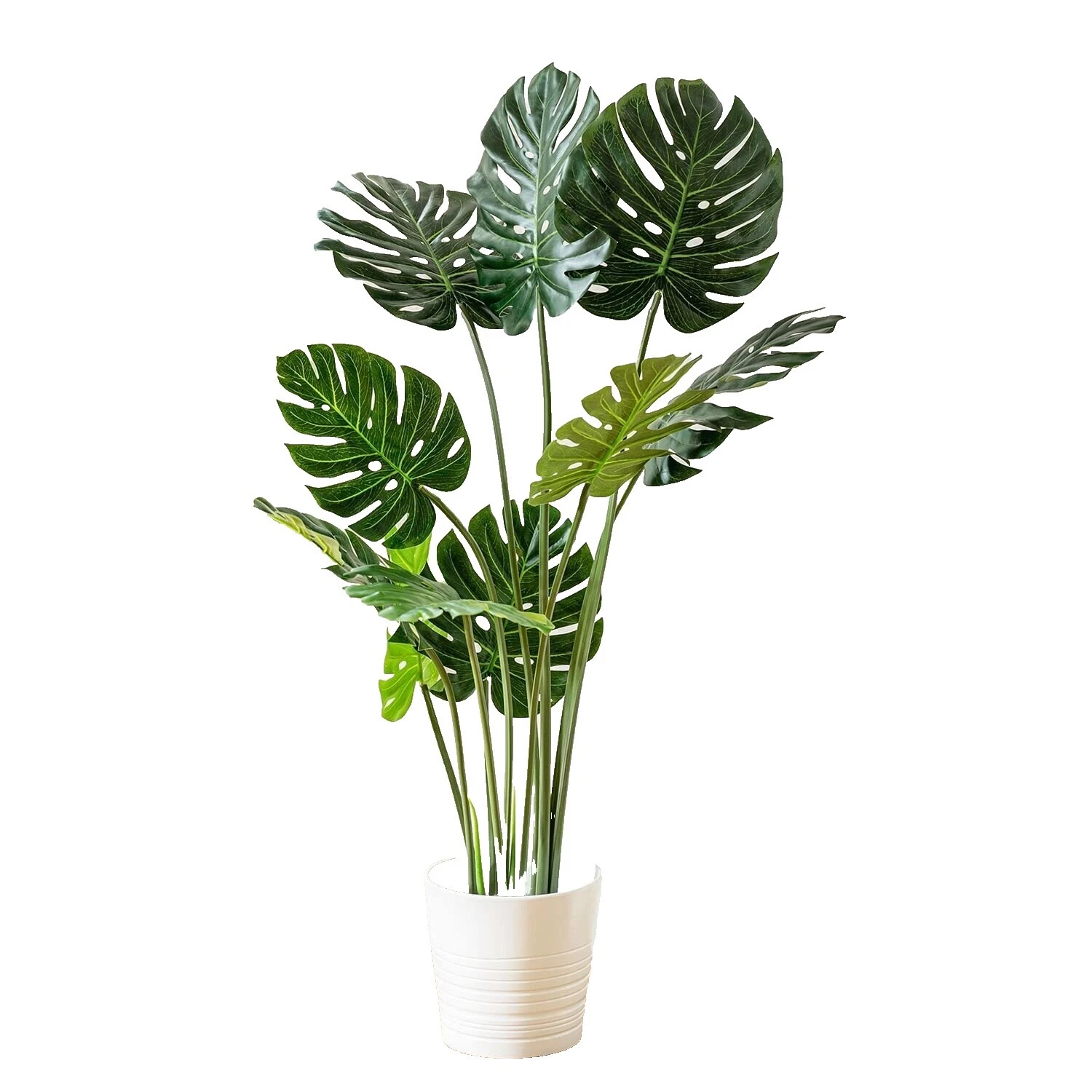 Black Houseplant Floral Décor