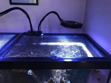 AI Prime 16HD 12” Arm Mount