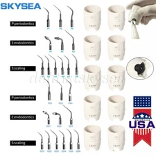 Dental Ultrasonic Scaler Tip Wrench 10*Key / 5 Tips For DTE/SATELEC/Cavitron/EMS