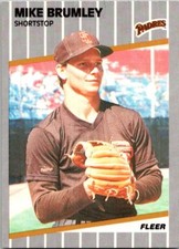 1989 Fleer Baseball 302 Mike Brumley