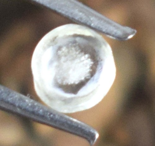 Loose CVD Diamond White Color 0.05 Ct VVS1 Clarity Certified Rare Facet - Picture 9 of 10
