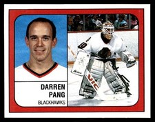 1989-90 Panini Darren Pang Chicago Blackhawks #21