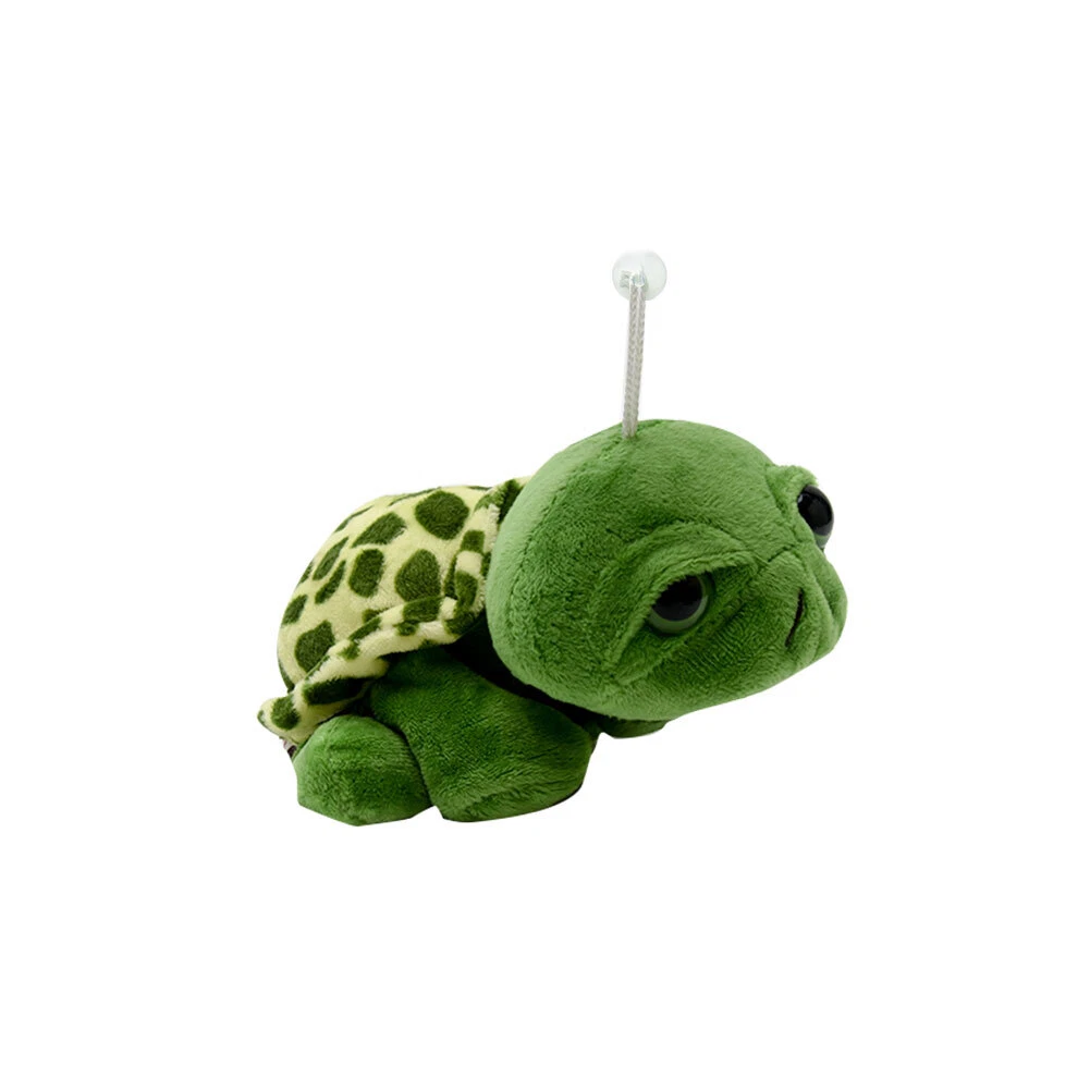 Big eye turtle sale