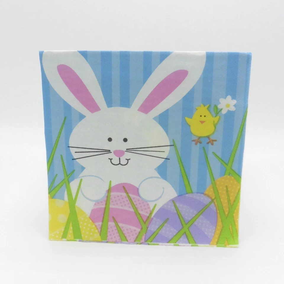 Servilletas de papel de Pascua - Diseño de jardín de conejito - 6,5 x 6,5 pulgadas, 2 paquetes de 24 Foto 3 de 4