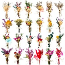 24 Pcs Dried Flowers Bouquet Boho Mini Dried Flower with Stem Small Floral Pl...