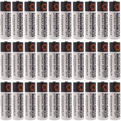 30x ER14505H 3.6V AA 2700mAh Battery for Fanso ER14505H Battery ER14505 LS14500