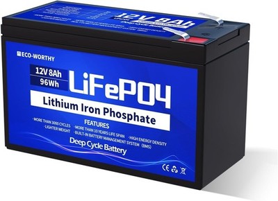 LiFePO4 12V 8Ah Rechargeable Lithium Battery with BMS Protection 30