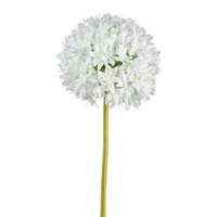 Kunstblume Allium, 2Er Set, Farbe Weiß, HöHe Ca. 89 Cm