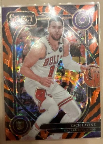 2024-25 Panini Select - Courtside Zach LaVine #249 Tiger Prizm