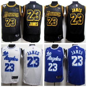 lebron james signed jersey ebay