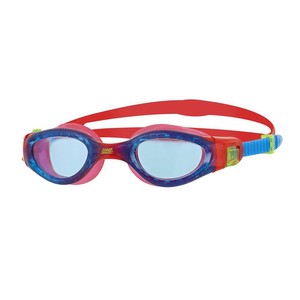 smart glasses for the blind