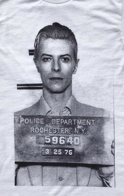 DAVID BOWIE MUGSHOT T-SHIRT $25 SIZE S - 3XL FREE SHIP GLAM ROCK