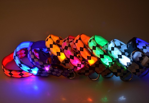 LED Glow Collar Dog Puppy Pet Flashing Light Safety Glow In The Dark FAST POST - Picture 14 of 81