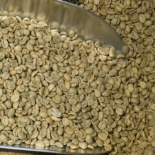 Green Coffee Beans - Mexico - Chiapas - Mocabe - Organic - Unroasted