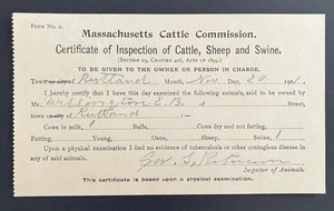 1901 Massachusetts Certificate of Inspection of Cattle Sheep Swine Rutland MASS