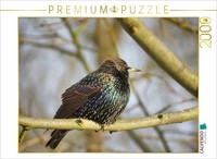 Calvendo Puzzle The Star | 2000 Pieces, Finished Size 35.4 × 26.4 In (90 × 67 Cm