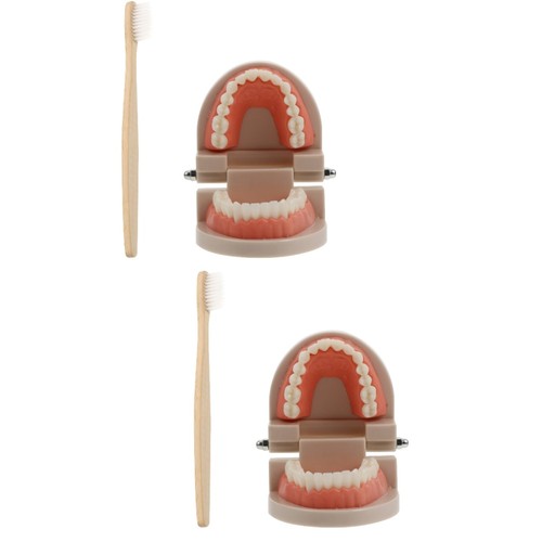 2 Sets Early Childhood Education Brushing and Washing Tools Oral Tooth Model - Bild 5 von 12