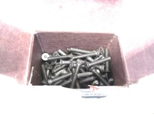 Brighton (534032) M4 x 25 Alloy Steel Flat Socket Cap Screw - 107 QTY