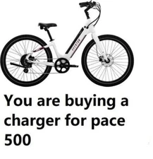 🔥Smart Charger ac adapter for AVENTON Pace 500  Electric Bike