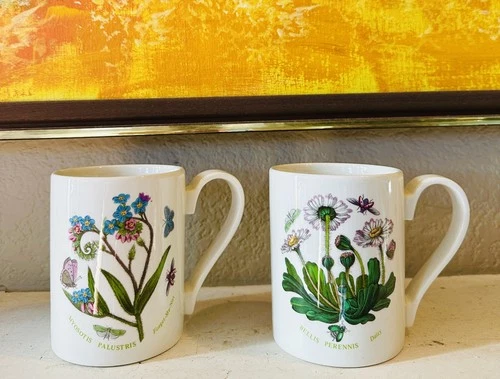 Portmeirion BOTANIC GARDEN Coffee Mugs Daisy,forget me not  Mugs/Tea Cup 5”