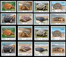 DJIBOUTI 2024 SET 16V - AFRICA ENDANGERED TURTLES TURTLE REPTILES - MNH