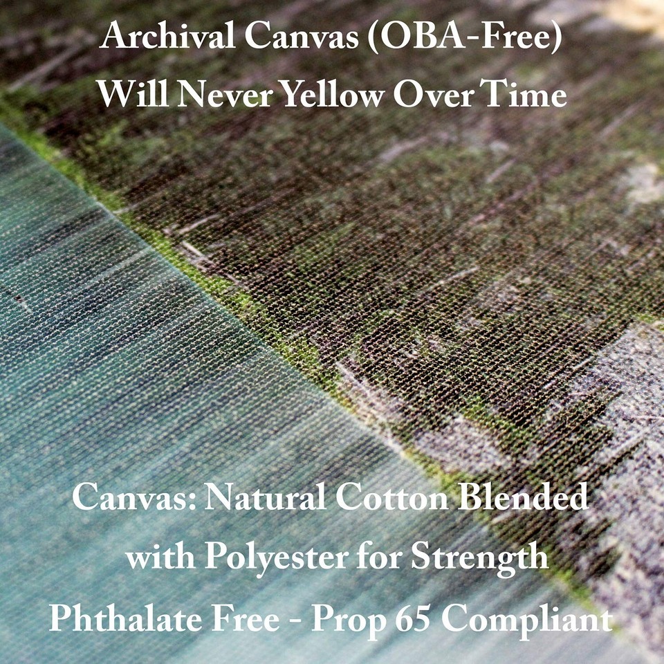 Poppies Melody I Wall Decor by Lisa Audit, 16" x 24" Canvas Wall Art eBay