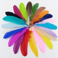Dyed Goose Feathers 26 Colours, DIY Costume Craft Accessory Hat 15-20cm 10-100pc