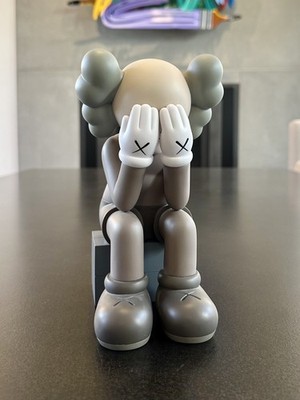 KAWS Companion  Passing Through  Open Edition   Brown   Authentic