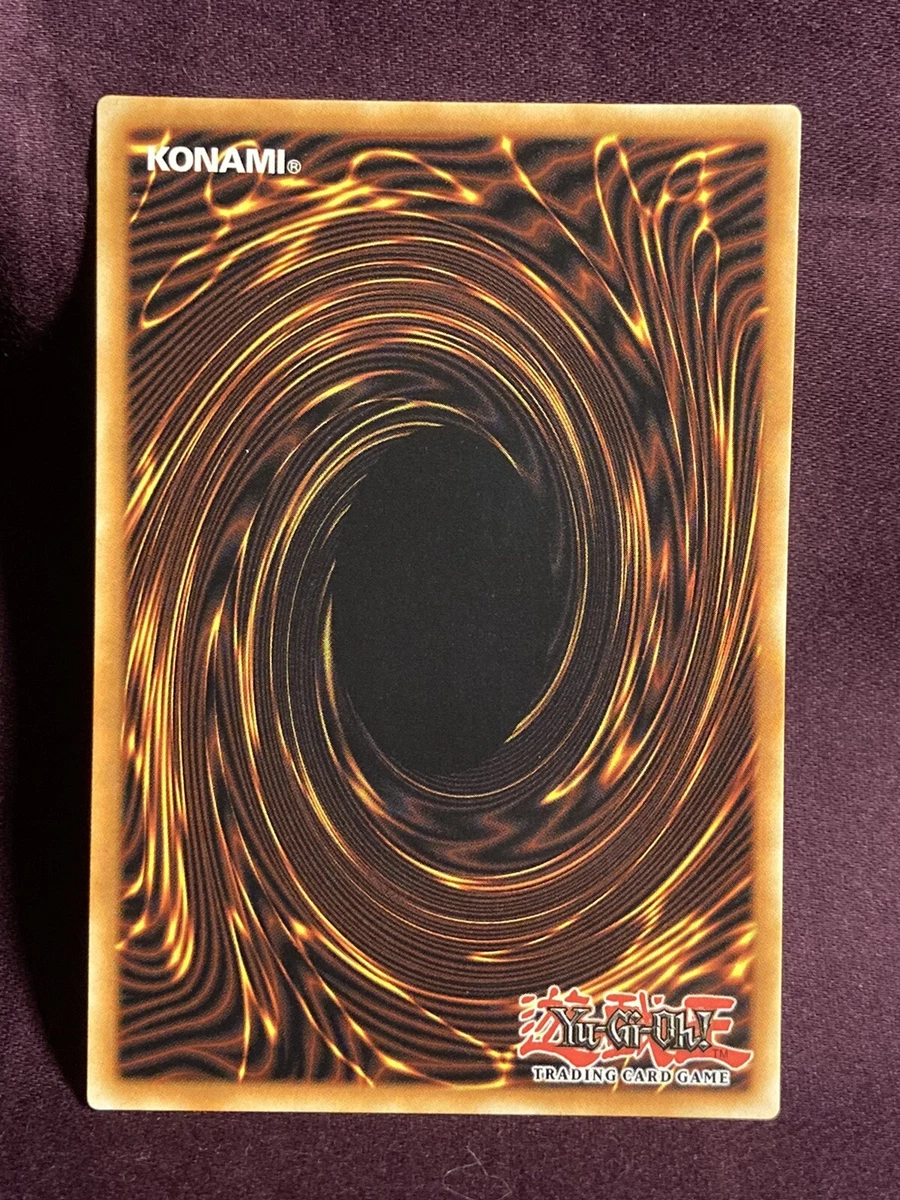 Hunting Groudon Pokemon Vortex V5