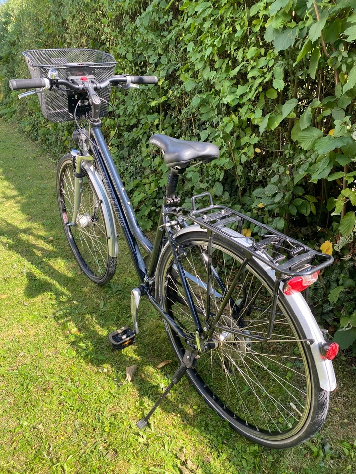 Wheeler Trekking Light 3700 – Robust und Vielseitig | Gebrauchtes Trekkingrad - Bild 3 von 3