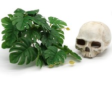 reptile | vivarium | terrarium | accessories | skull hide and monstera plant set