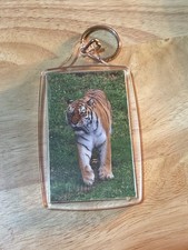 Tiger Keyring 1