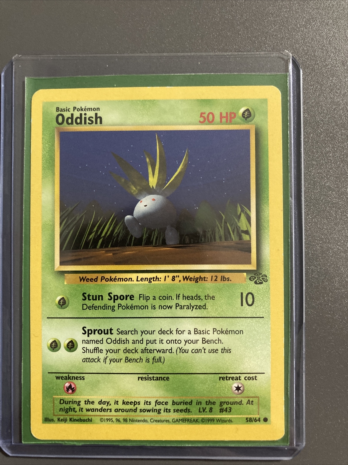 Oddish 58/64 - Jungle Set Pokemon Card - Near Mint / Mint