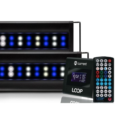 Orbit Marine 18''- 24'' IC LOOP PRO Dual LED System w/HUB (4504) - Current USA