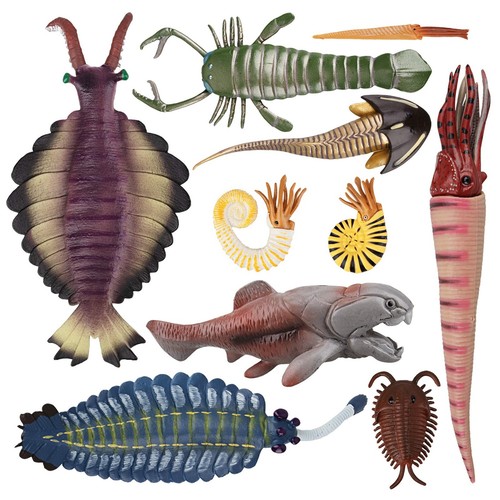 10 figurines animaux créature marine ancienne préhistorique mer cambrienne TOYMANY