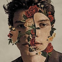 Shawn Mendes Shawn Mendes (Cd)