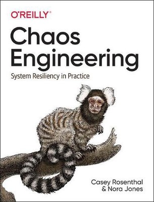 Chaos Engineering: System Resiliency in Practice by Casey Rosenthal (English) Pa