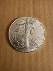 Walking Liberty American Eagle Uncirculated 2013 Dollar 1 oz. Fine Silver