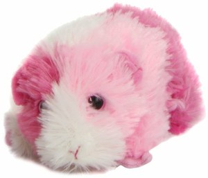 ty beanie guinea pig