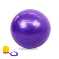 Exercise Ball With Professional Gym Quality Anti Burst With Air Pump - Suppor... on sale Exercise Ball With Professional Gym Quality Anti Burst With Air Pump - Suppor... on sale
