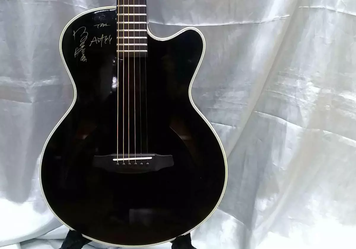 Esp acoustic 2024