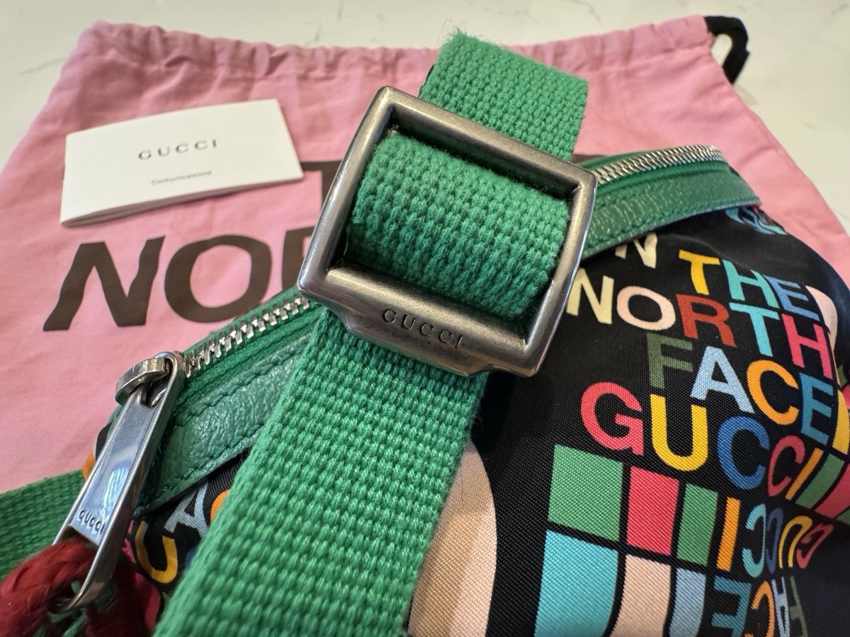 Gucci x The North Face Multicolor Logo Belt Bag w/ Green Strap & Dust Bag View 3