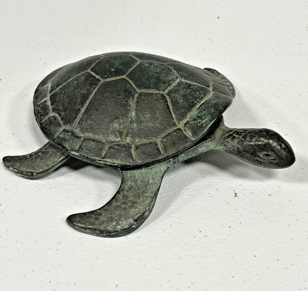 SEA TURTLE Box Sea Life Beach Trinket Storage Nautical Coastal ~ SPI Home 50810