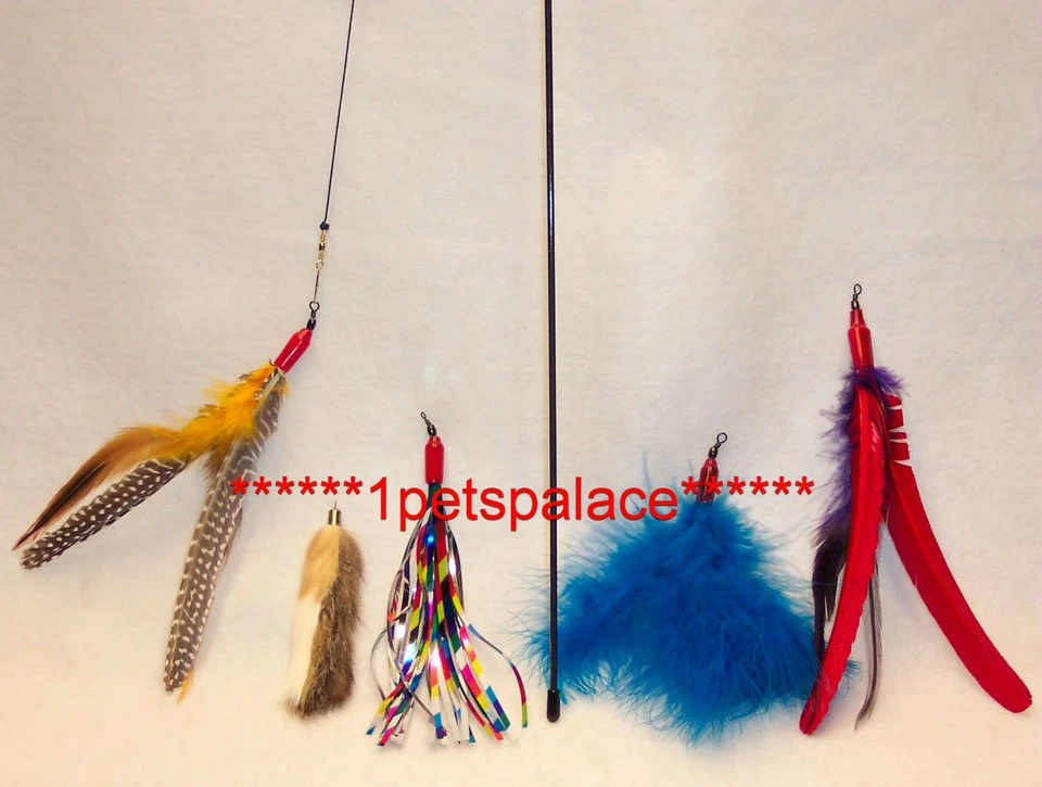 Da Bird feather wand cat toy & 4 Attachment refills Go Cat interactive pullapart