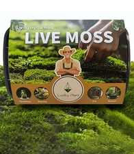 Fresh Live Moss Variety Pack - Ideal for DIY Terrariums Miniature Bonsai Pott...