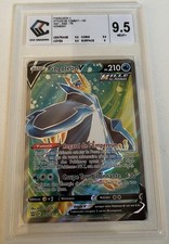 Pingoléon V 145/163 CCC 9.5 Francaise