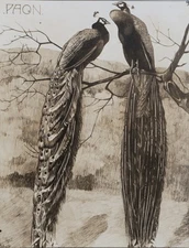 Mathurin Meheut: The Peacock, Signed Lithograph, 1911